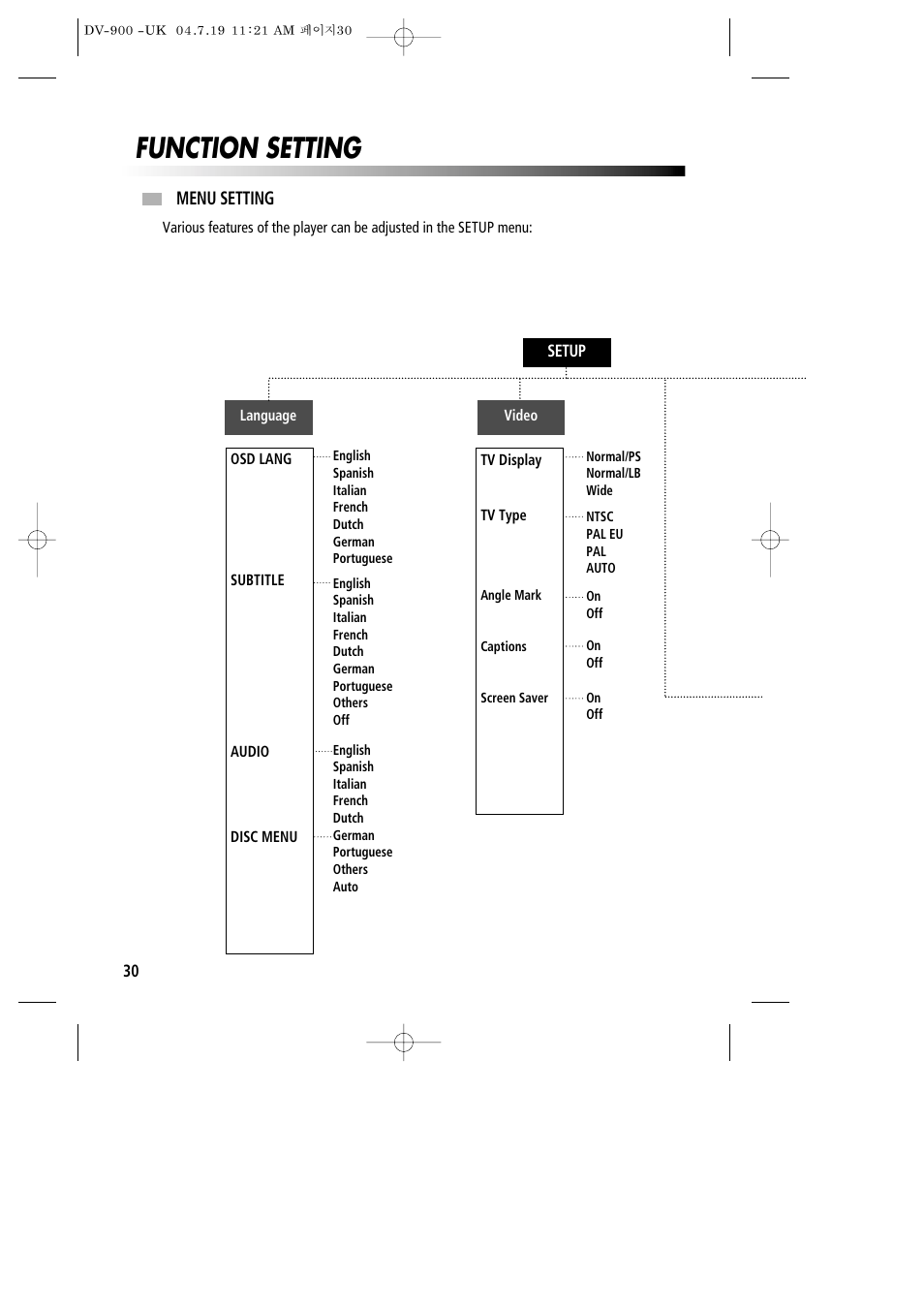 Function setting | Daewoo DV-900 User Manual | Page 31 / 43