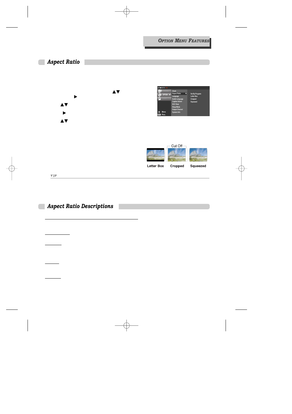 Aspect ratio, Aspect ratio descriptions | Daewoo DAC-100 User Manual | Page 15 / 36