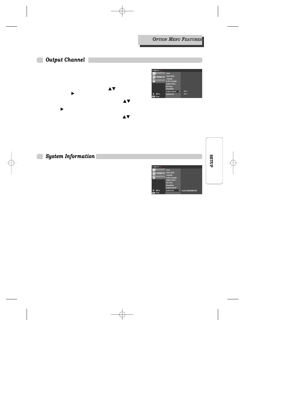 Output channel, System information, 21 setup | Daewoo DAC-100 User Manual | Page 22 / 36