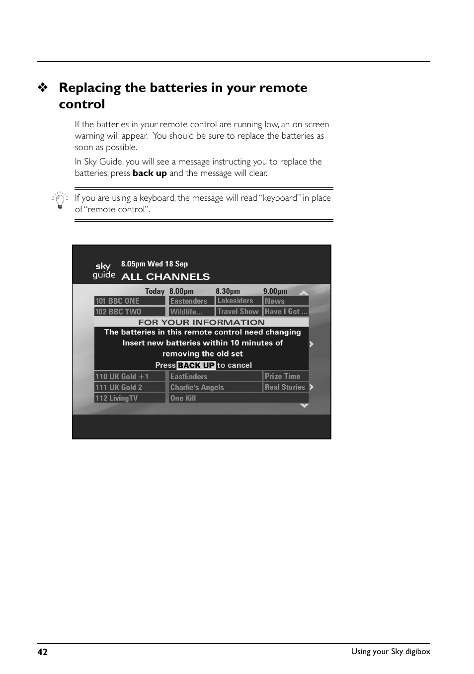 Replacing the batteries in your remote control | Daewoo Sky digibox User Manual | Page 46 / 65