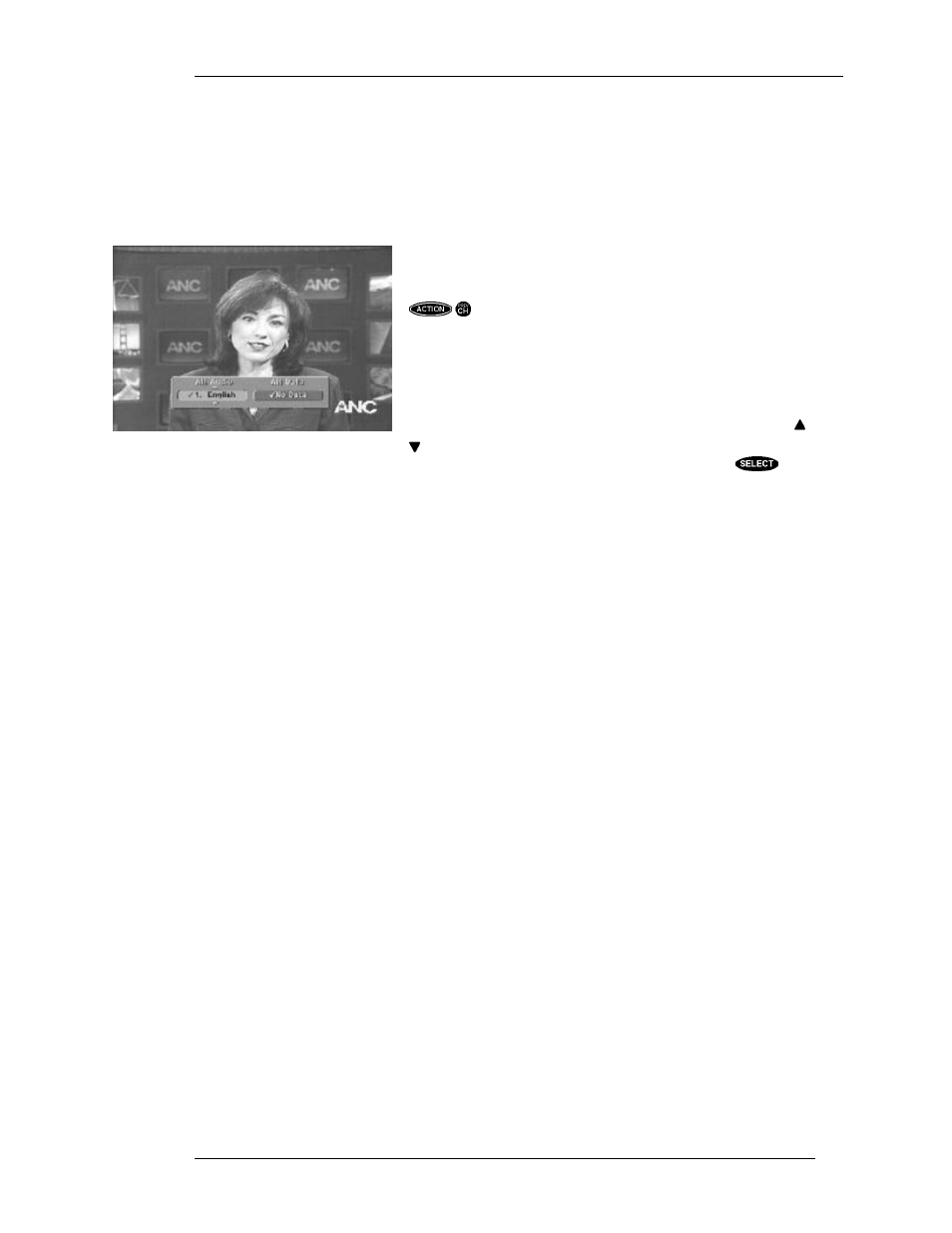 Alternate services, Alt. audio, Data | DirecTV HIRD-B1 User Manual | Page 41 / 74