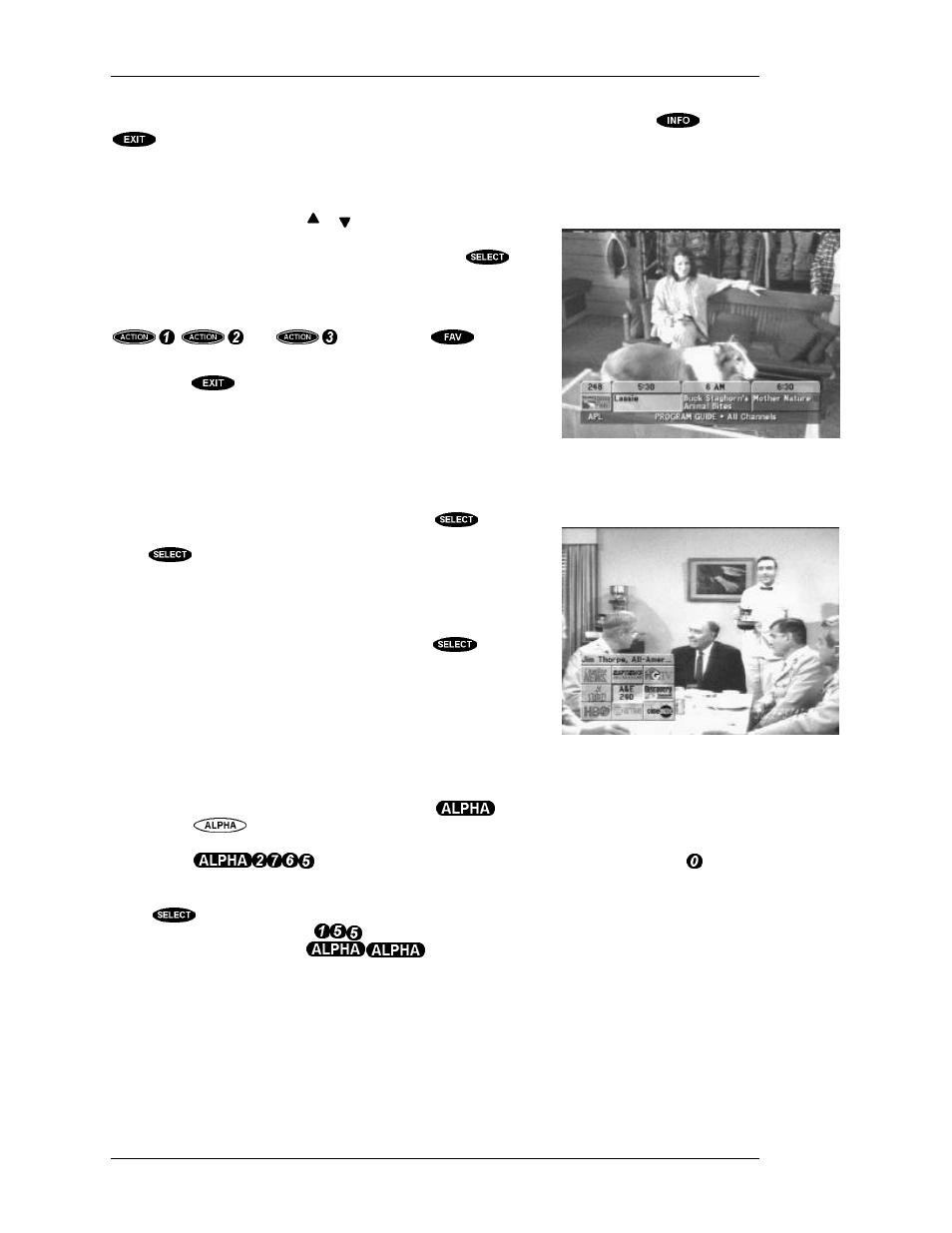 The oneline™ guide, Turbotune, Alphatune | DirecTV HIRD-D11 User Manual | Page 40 / 74