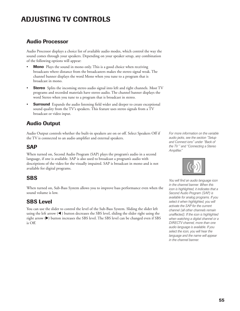 Adjusting tv controls, Audio processor, Audio output | Sbs level | DirecTV DW65X91 User Manual | Page 55 / 96