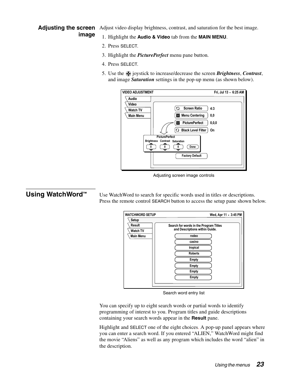 Using watchword, Adjusting the screen image | DirecTV GAEB0A User Manual | Page 31 / 58