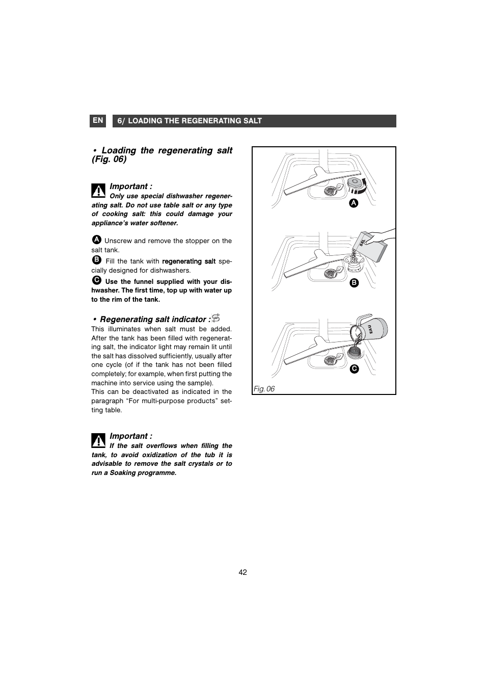 Loading the regenerating salt (fig. 06), Important, Regenerating salt indicator | DE DIETRICH DVC829WE1/XE1 User Manual | Page 12 / 34