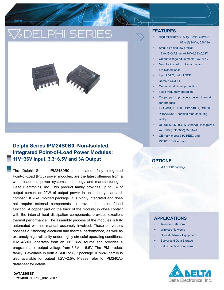 Delta Electronics IPM24S0B0 User Manual | 14 pages