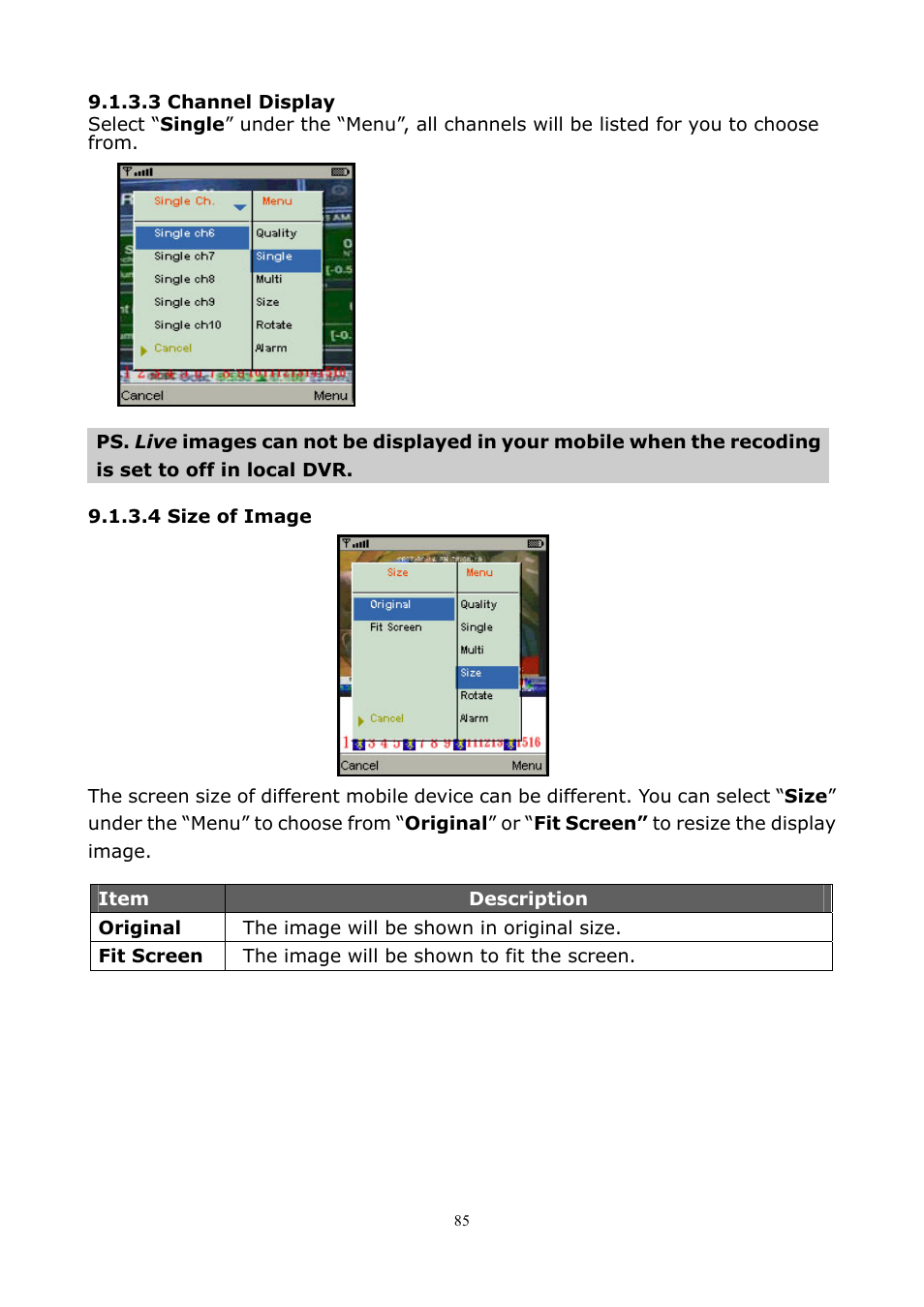 PLANET DVR-1672 User Manual | Page 91 / 100