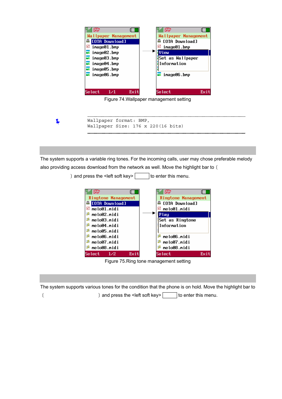 Ring tone management, Hold tone management | PLANET VIP-192 User Manual | Page 47 / 74