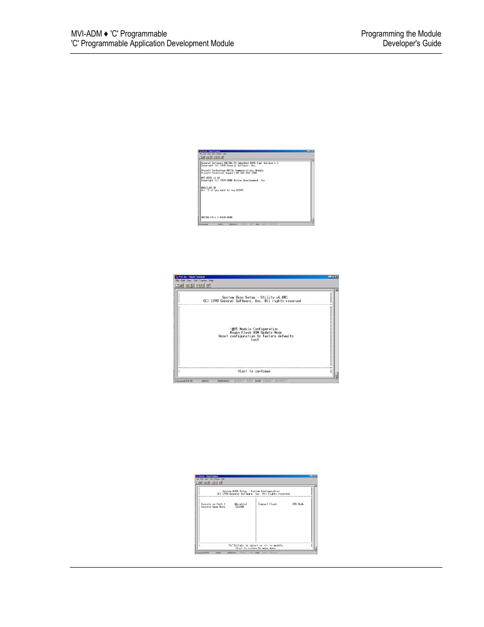 Mvi system bios setup | ProSoft Technology MVI69-ADM User Manual | Page 101 / 342