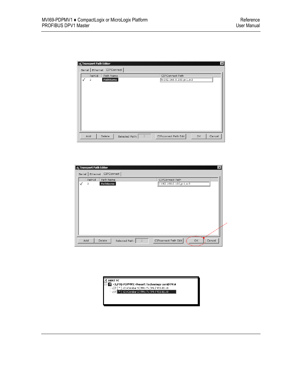 ProSoft Technology MVI69-PDPMV1 User Manual | Page 195 / 225