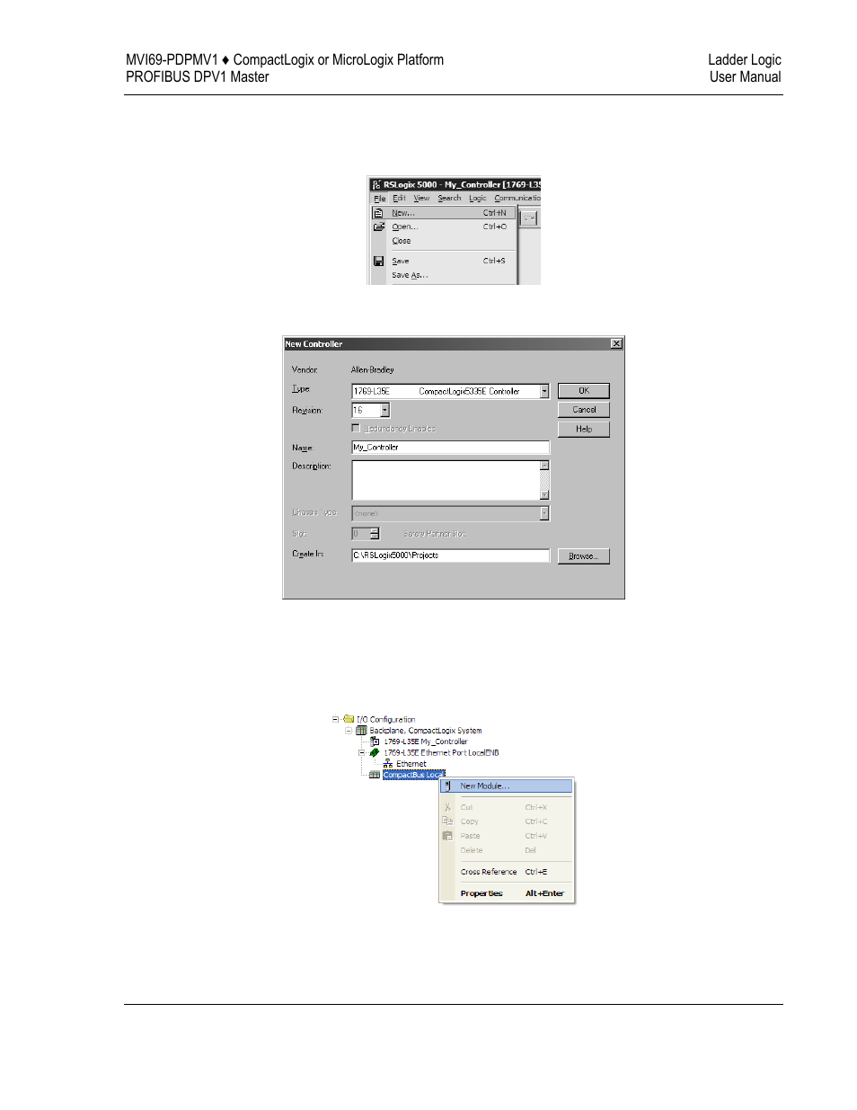 ProSoft Technology MVI69-PDPMV1 User Manual | Page 21 / 225