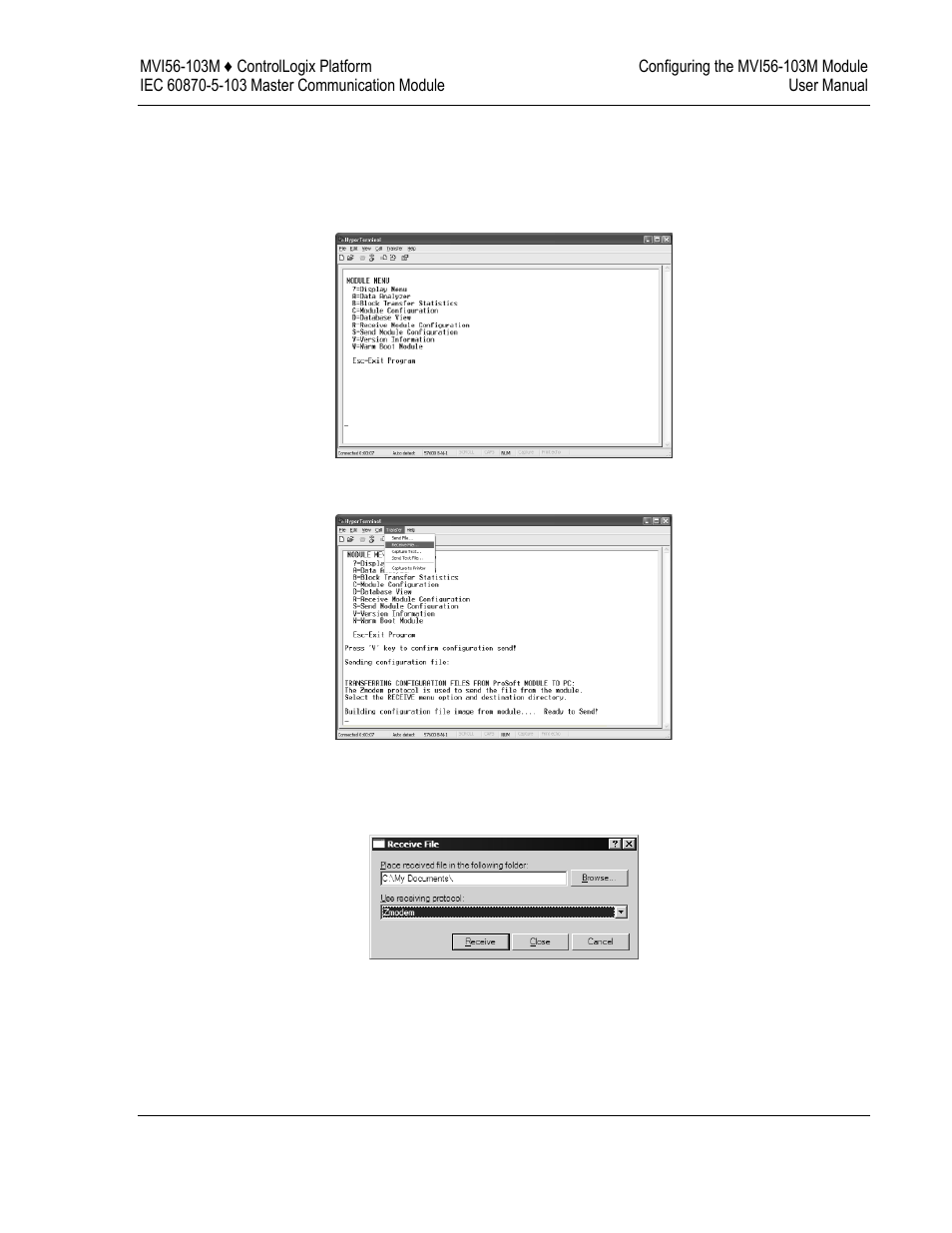 ProSoft Technology MVI56-103M User Manual | Page 49 / 152