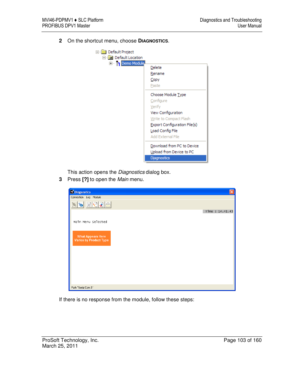 ProSoft Technology MVI46-PDPMV1 User Manual | Page 103 / 160
