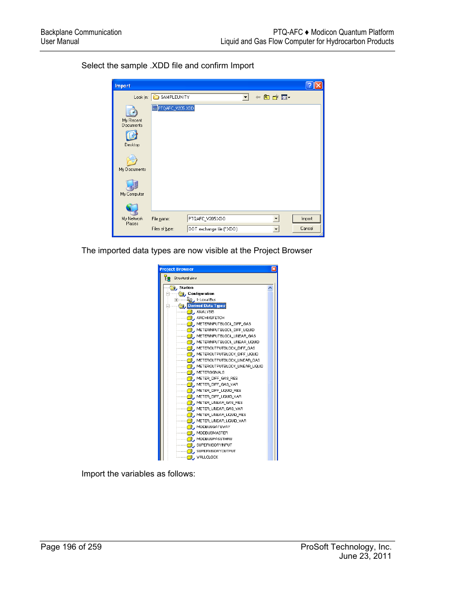 ProSoft Technology PTQ-AFC User Manual | Page 196 / 259