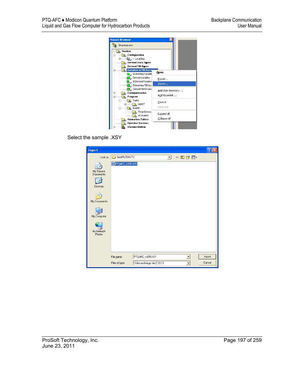 ProSoft Technology PTQ-AFC User Manual | Page 197 / 259