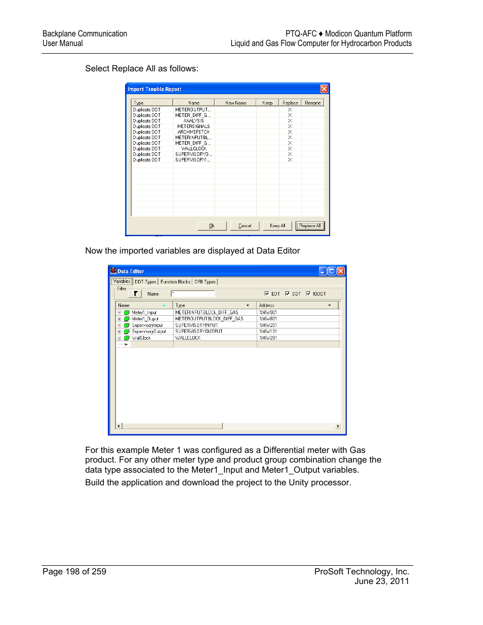 ProSoft Technology PTQ-AFC User Manual | Page 198 / 259