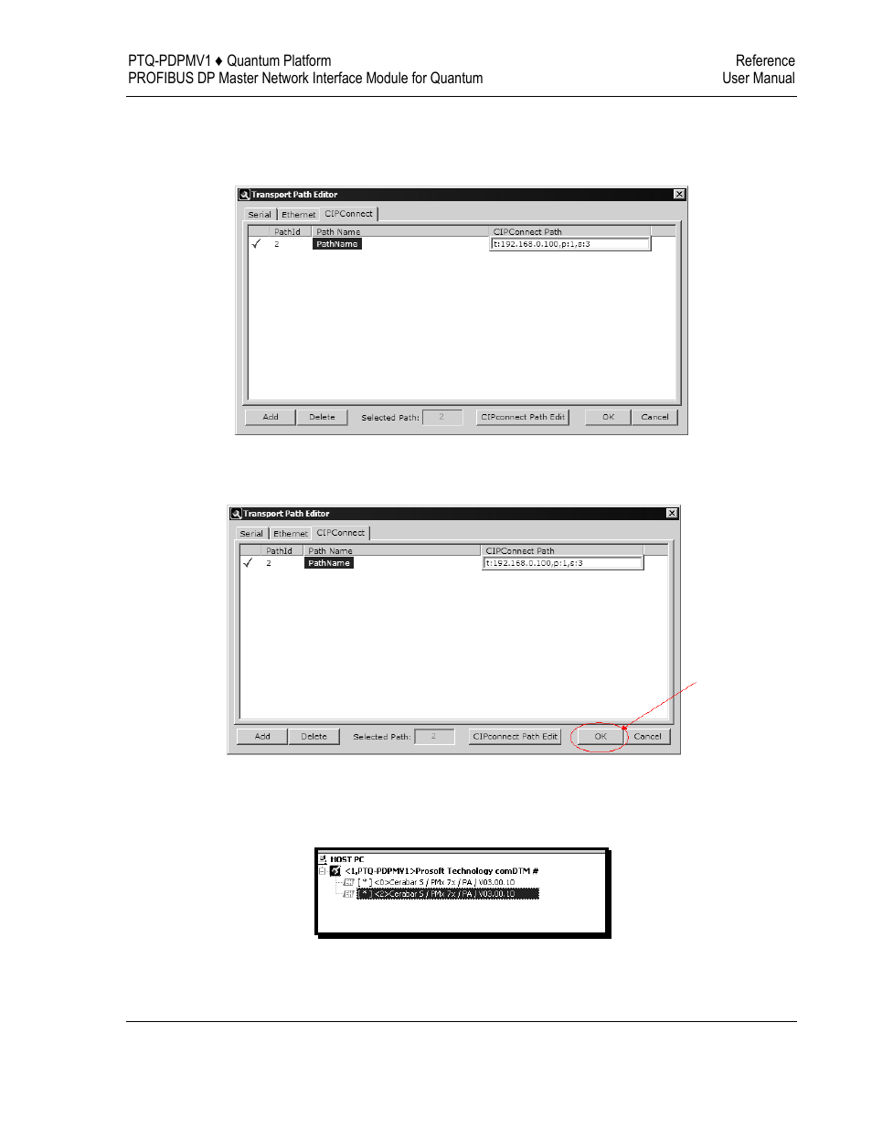 ProSoft Technology PTQ-PDPMV1 User Manual | Page 271 / 306