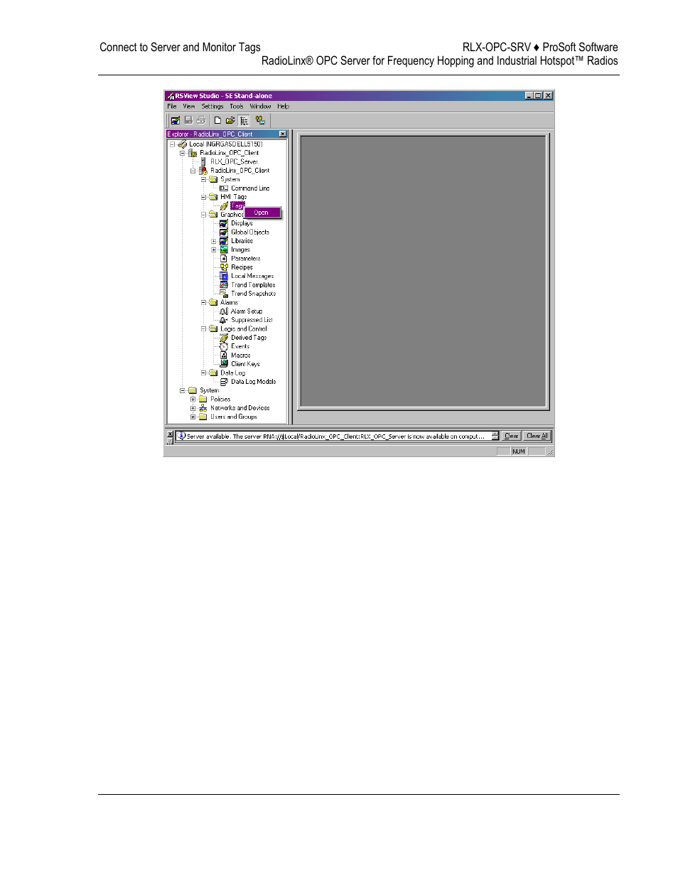 ProSoft Technology RLX-OPC-SRV User Manual | Page 71 / 108