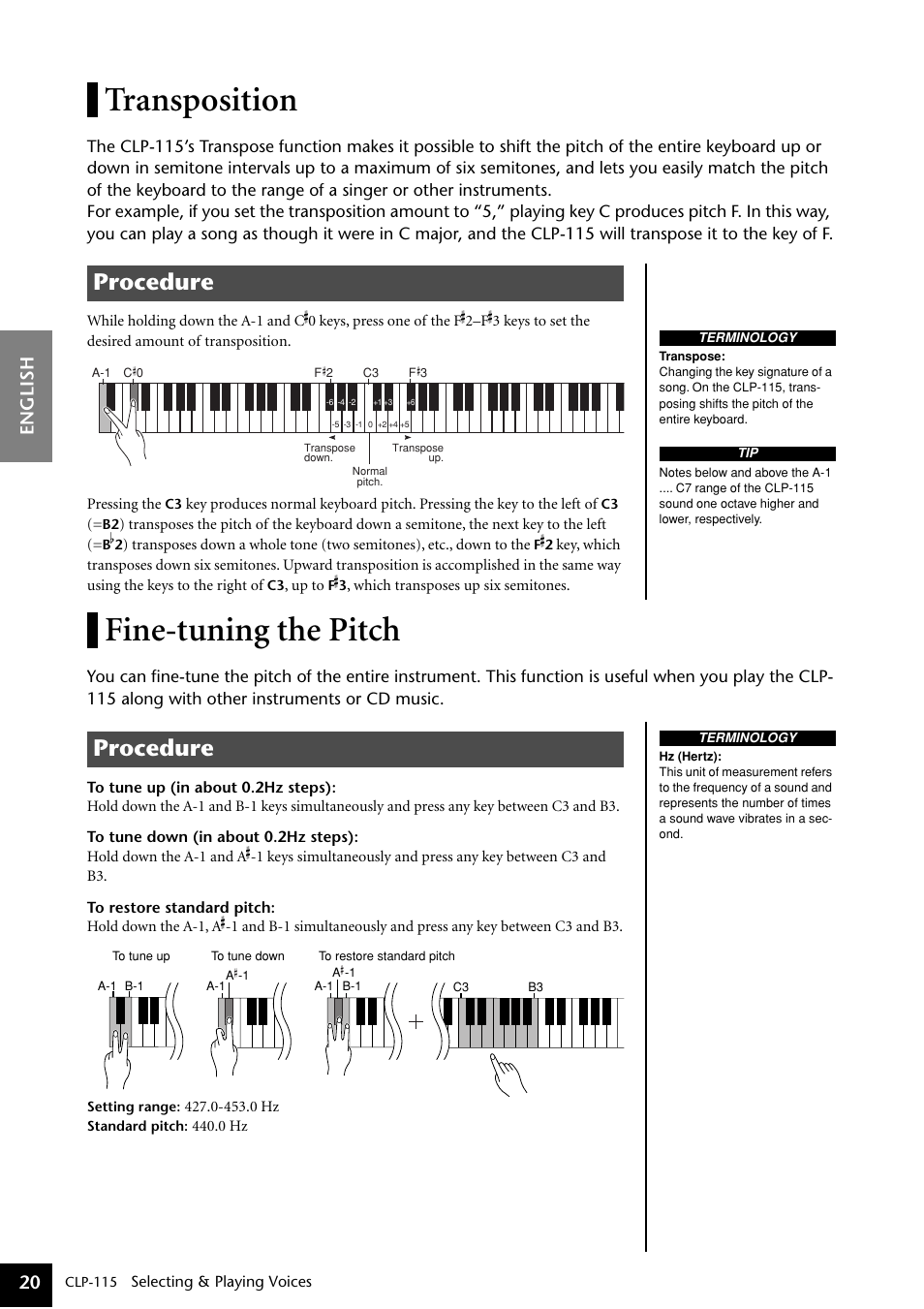 Transposition, Fine-tuning the pitch, Transposition fine-tuning the pitch | Procedure, English 20 | Yamaha P-115 User Manual | Page 20 / 46