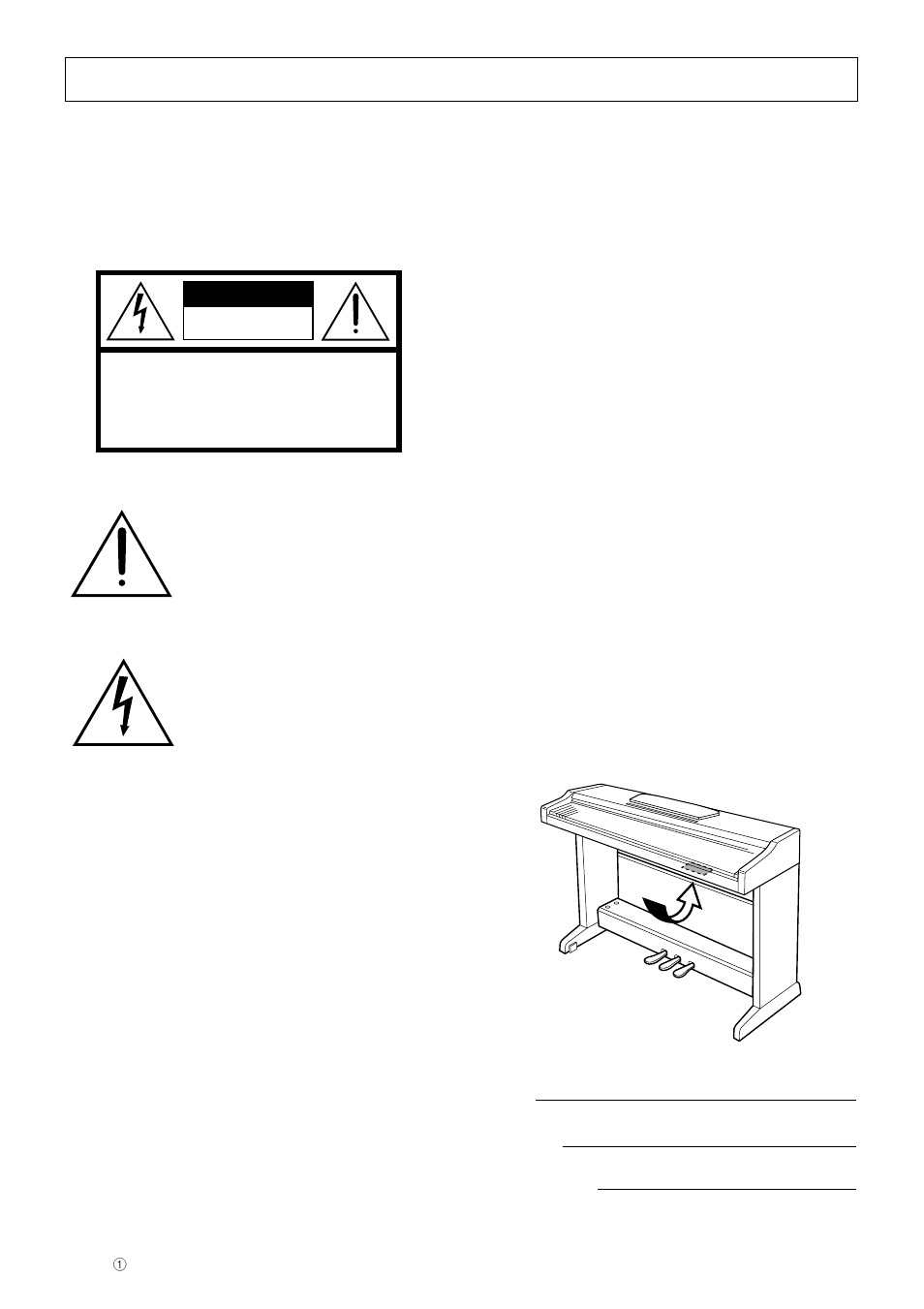 Introduction, Caution | Yamaha P-115 User Manual | Page 2 / 46