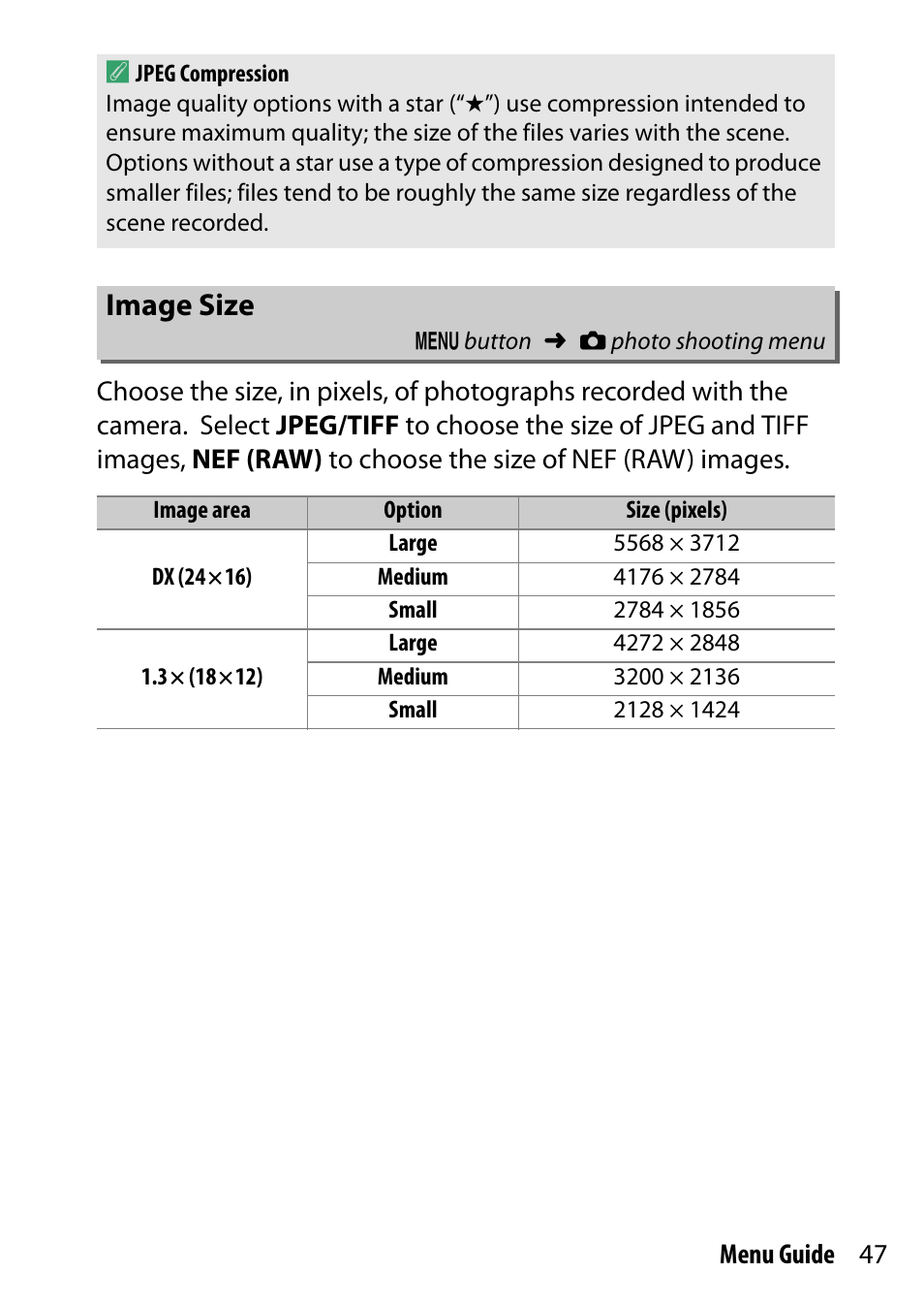 Image size | Nikon D500 User Manual | Page 47 / 207