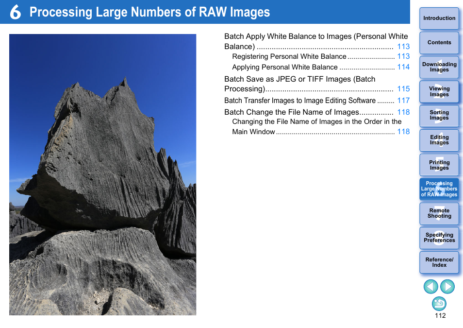 Processing large numbers of raw images, Processing, Large numbers | Of raw images | Canon PowerShot G7 X Mark II User Manual | Page 112 / 141