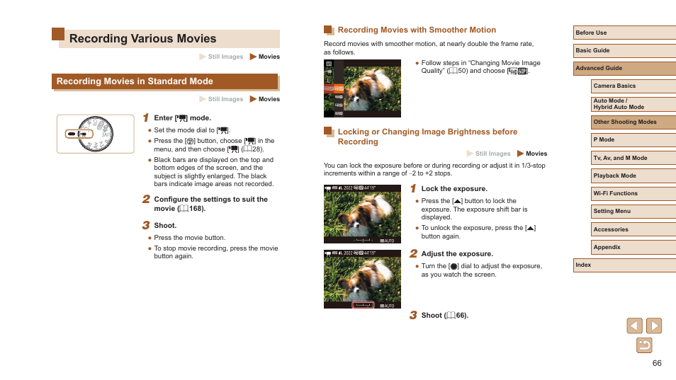 Recording various movies, Recording movies in standard mode | Canon PowerShot SX720 HS User Manual | Page 66 / 185