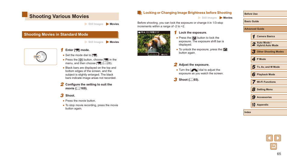 Shooting various movies, Shooting movies in standard mode | Canon PowerShot SX540 HS User Manual | Page 65 / 186