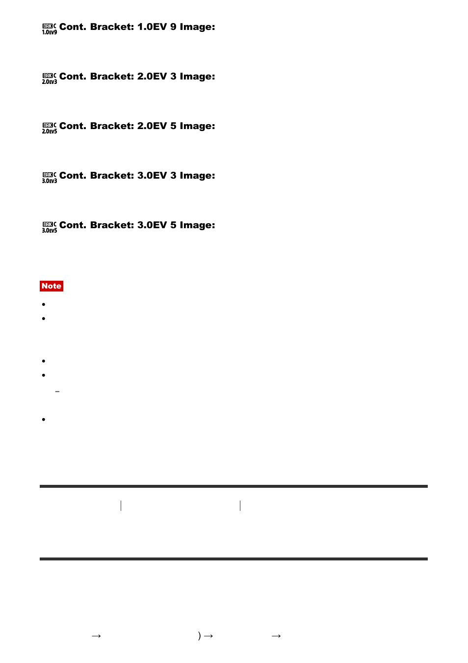 Single bracket [100, Single bracket | Sony Cyber-shot RX10 III User Manual | Page 111 / 274