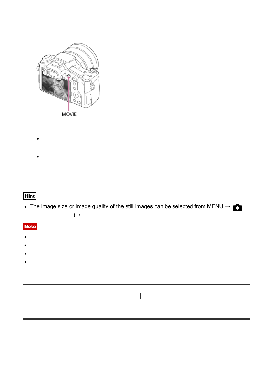 Auto dual rec [119, Auto dual rec | Sony Cyber-shot RX10 III User Manual | Page 133 / 274