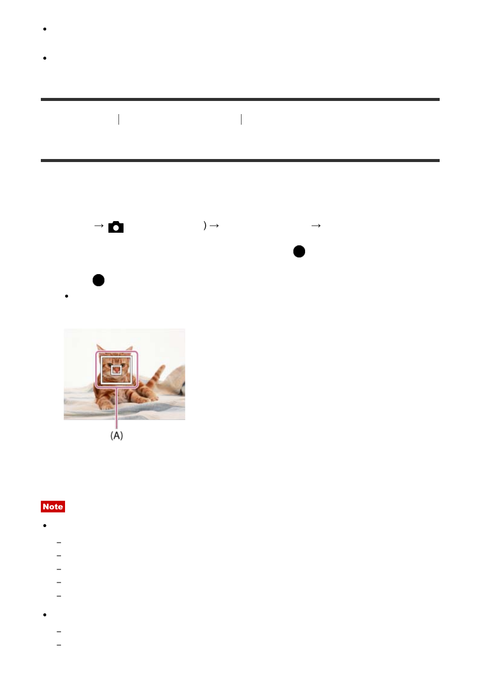 Center lock-on af [68, Center lock-on af | Sony Cyber-shot RX10 III User Manual | Page 89 / 274