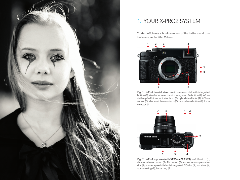 2_fuji-x-pro2_xii-3, Your x-pro2 system | FujiFilm X-Pro2 User Manual | Page 7 / 46