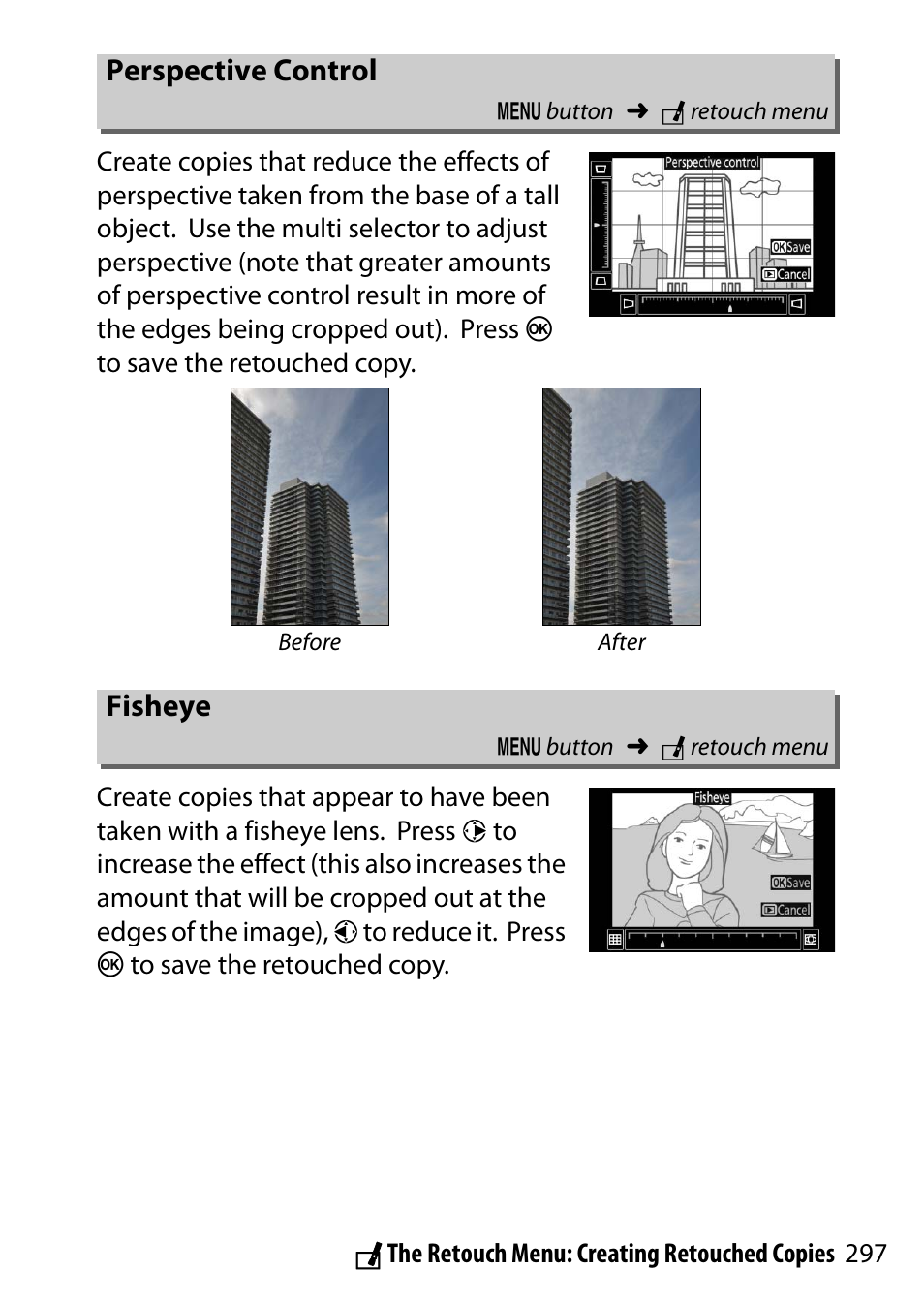 Perspective control, Fisheye | Nikon D5500 User Manual | Page 321 / 436