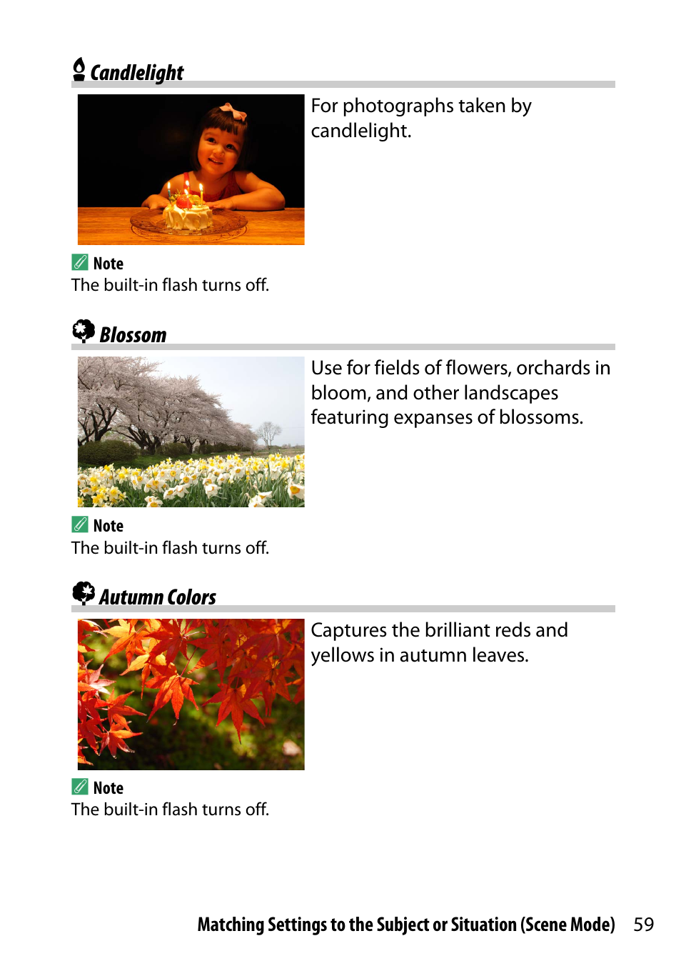 Candlelight, Blossom, Autumn colors | Nikon D5500 User Manual | Page 83 / 436