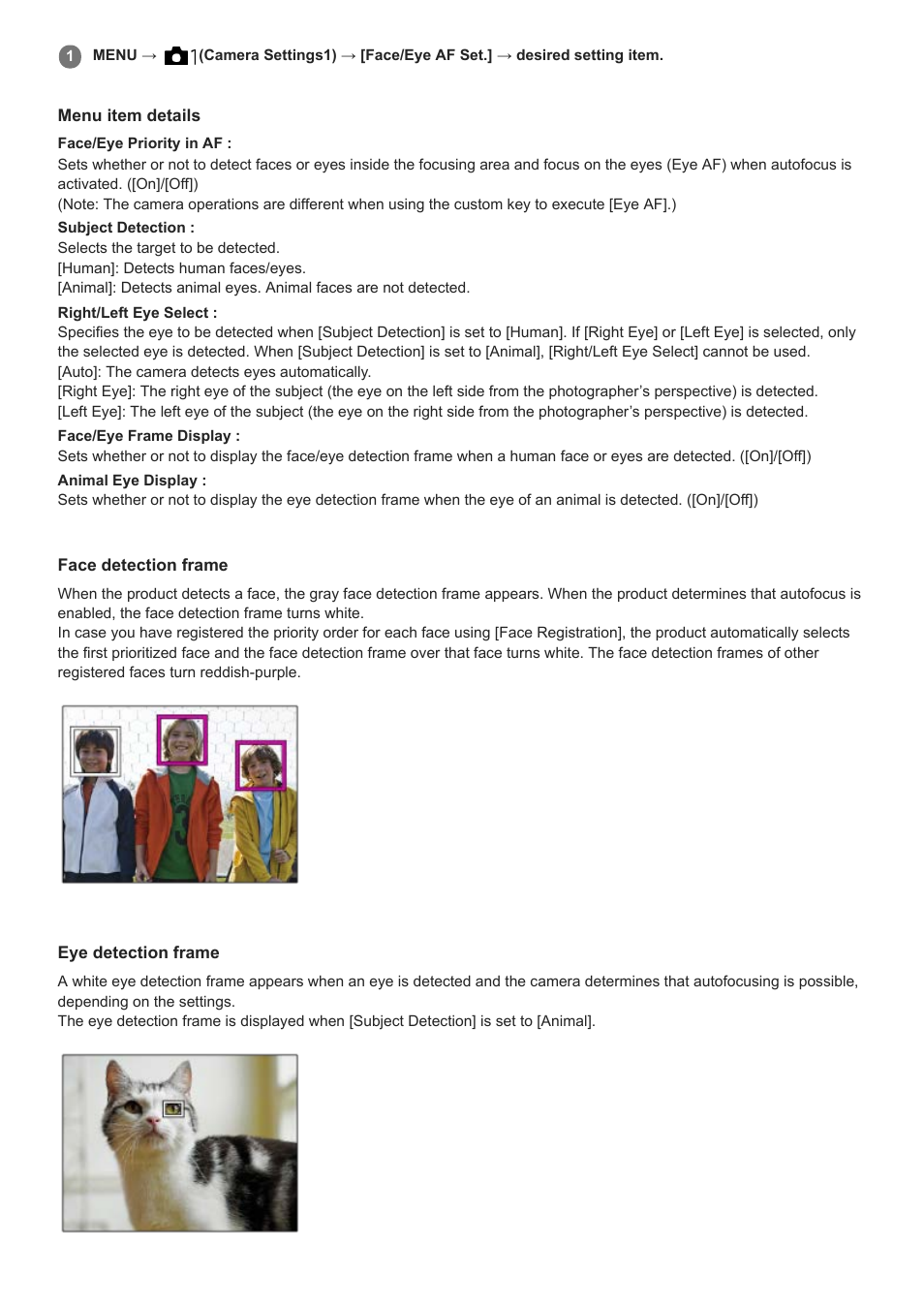 Sony Airpeak S1 Professional Drone User Manual | Page 356 / 555