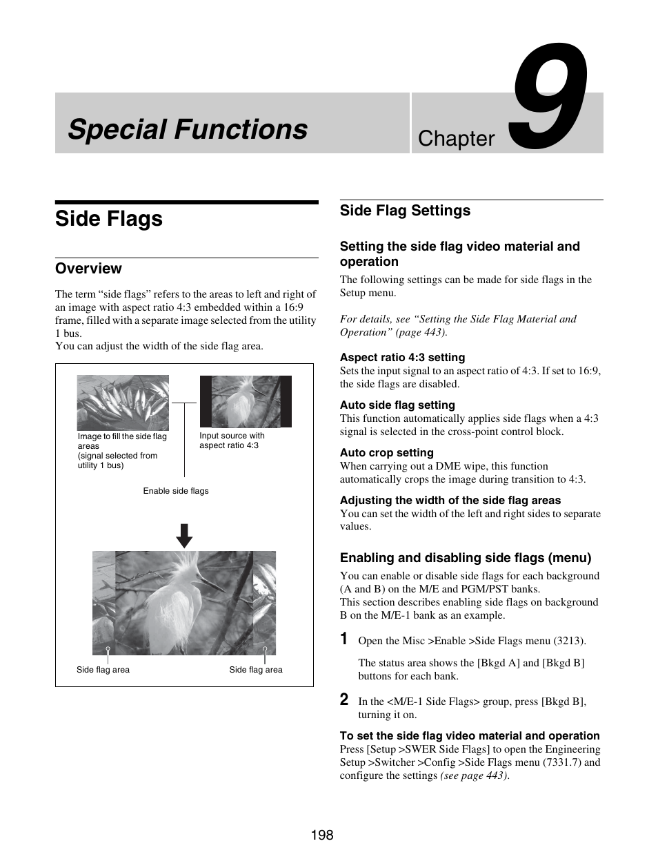 Chapter 9 special functions, Side flags, Overview side flag settings | Special functions, Chapter | Sony GP-X1EM Grip Extension User Manual | Page 198 / 574