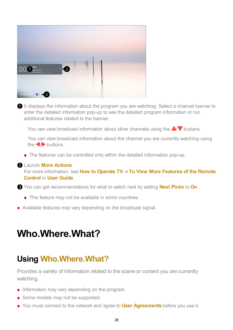 Who.where.what, Using who.where.what | LG UQ7570PUJ 50" 4K HDR Smart LED TV User Manual | Page 28 / 133