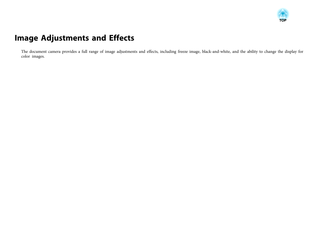 Image adjustments and effects | Epson DC-13 Document Camera User Manual | Page 37 / 62