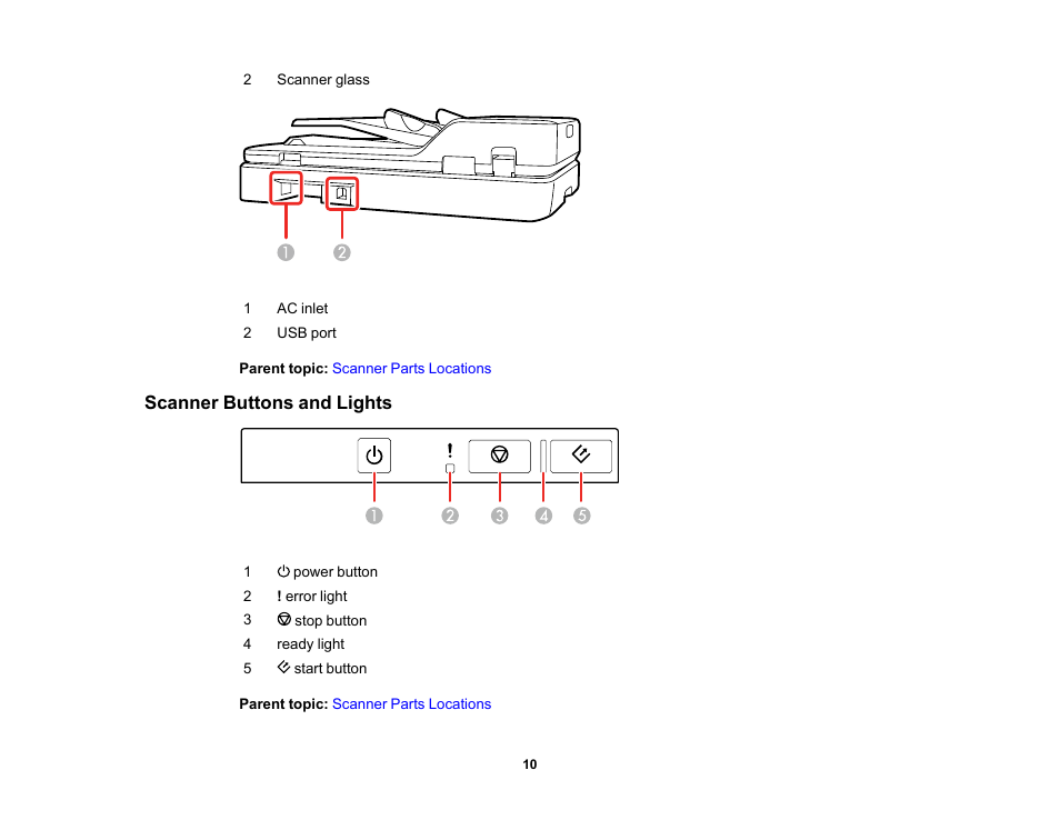 Scanner buttons and lights | Epson DS-1630 Flatbed Color Document Scanner User Manual | Page 10 / 115