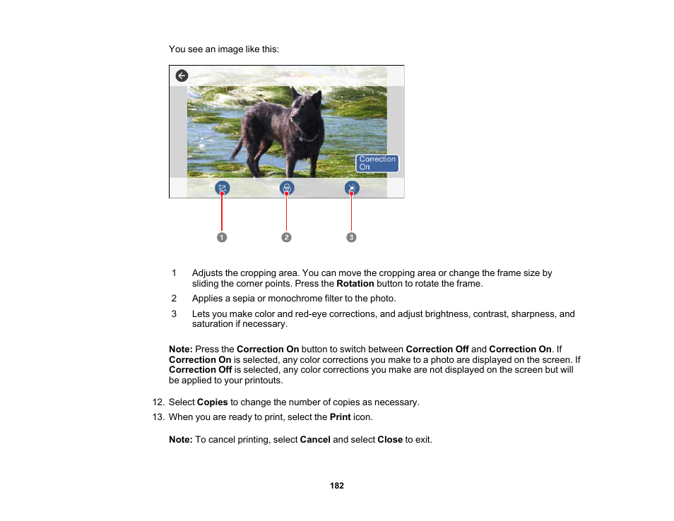 Epson Expression Premium XP-7100 Small-In-One Inkjet Printer User Manual | Page 182 / 340