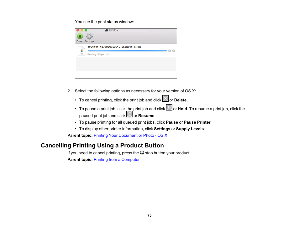 Cancelling printing using a product button | Epson PictureMate PM-400 Personal Photo Lab User Manual | Page 75 / 164
