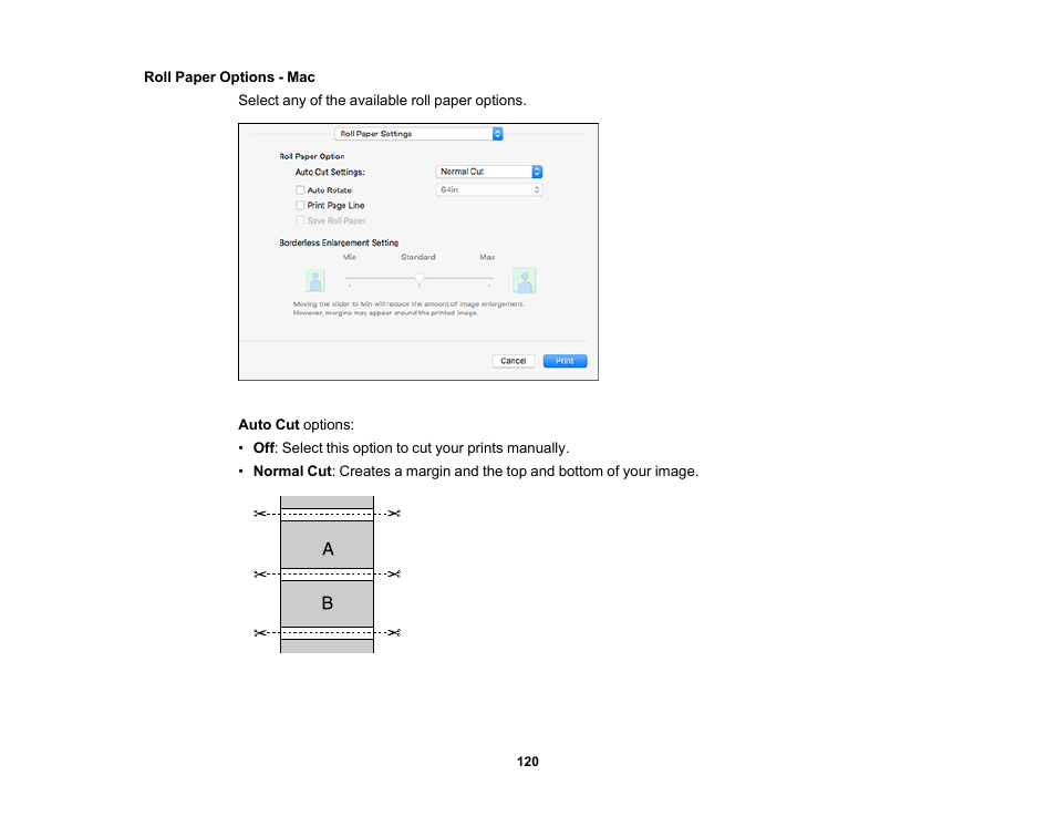 Roll paper options - mac | Epson SureColor P20000 Standard Edition 64" Large-Format Inkjet Printer User Manual | Page 120 / 232