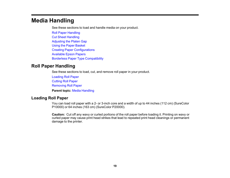 Media handling, Roll paper handling, Loading roll paper | Epson SureColor P20000 Standard Edition 64" Large-Format Inkjet Printer User Manual | Page 19 / 232