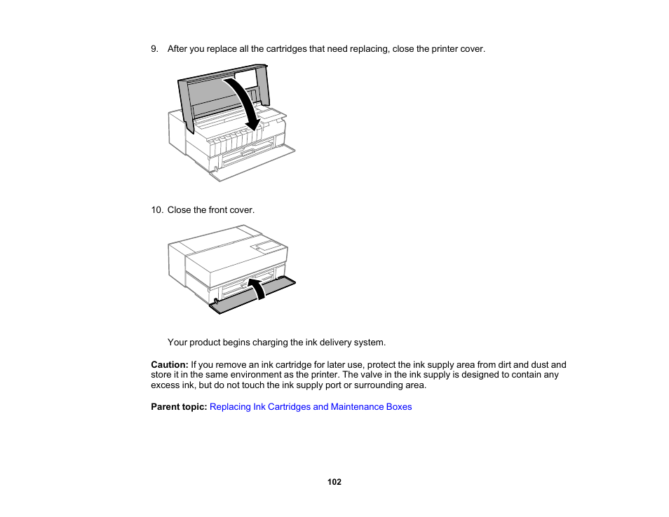 Epson SureColor P900 17" Photo Printer User Manual | Page 102 / 158