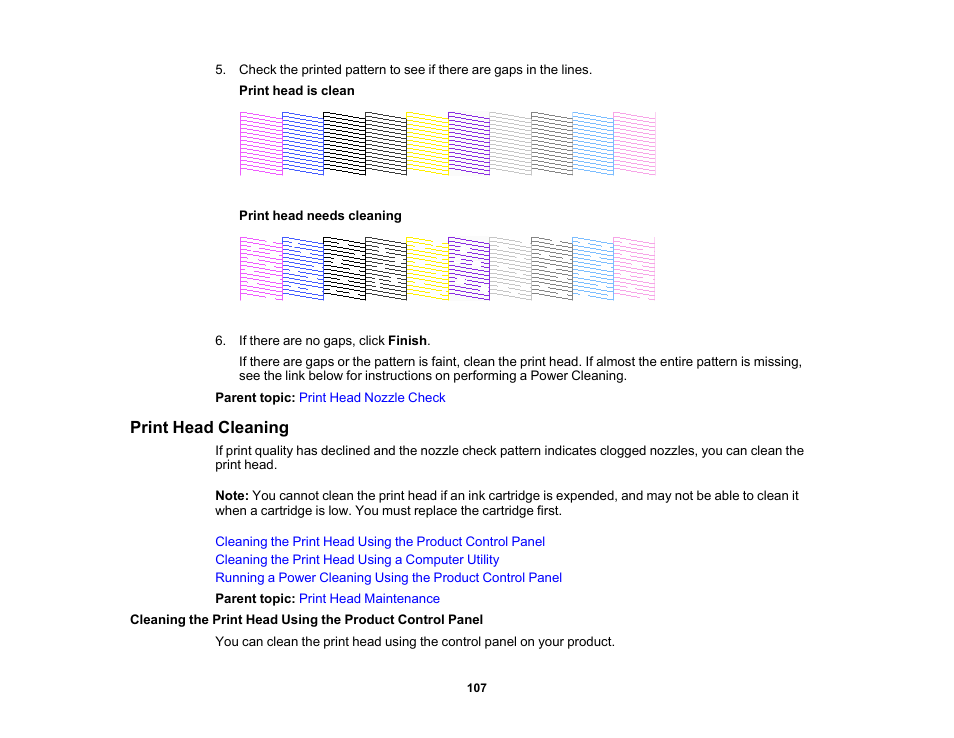 Print head cleaning | Epson SureColor P900 17" Photo Printer User Manual | Page 107 / 158