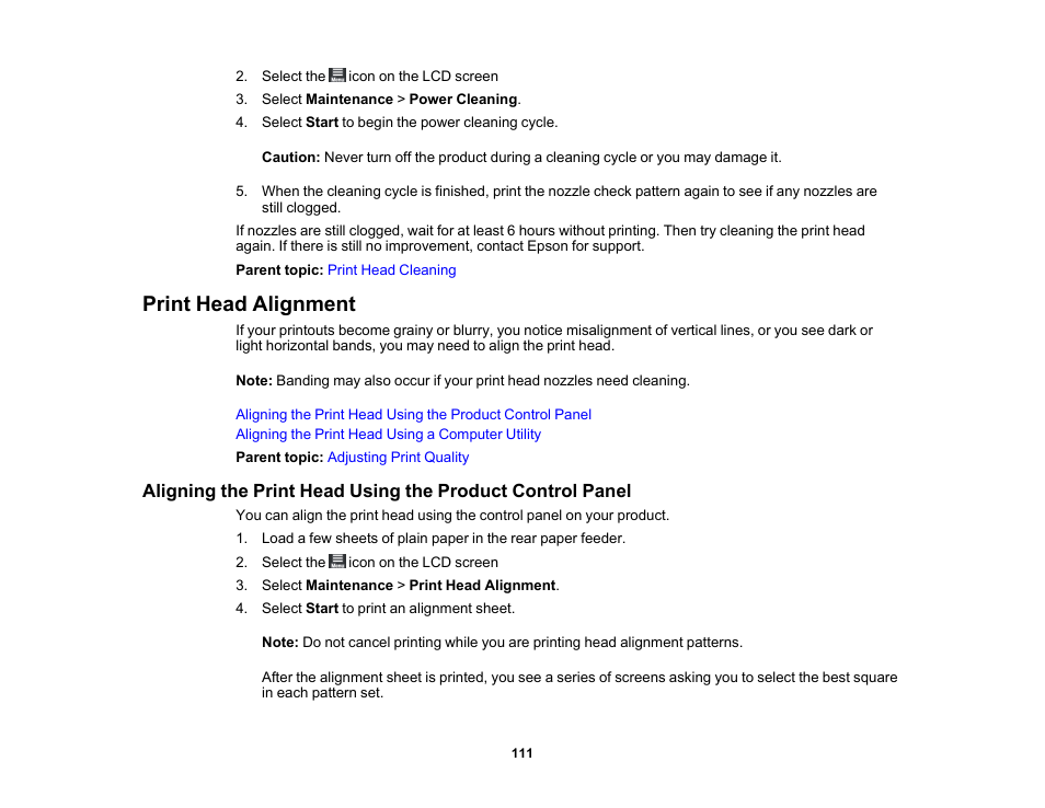 Print head alignment | Epson SureColor P900 17" Photo Printer User Manual | Page 111 / 158