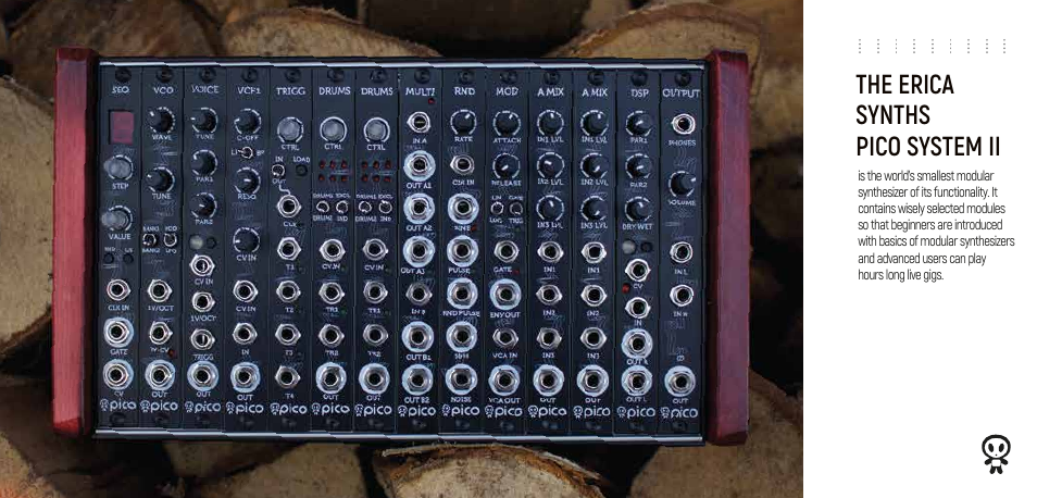 The erica synths pico system ii | Erica Synths Pico System III Eurorack Modular Synthesizer System (Eurorack Module) User Manual | Page 31 / 32