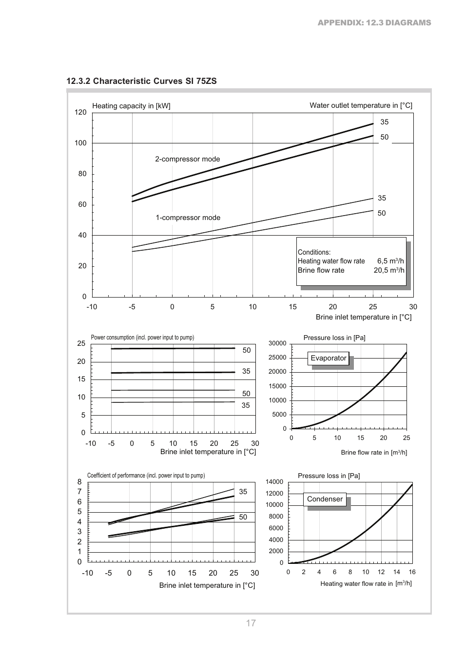 Dimplex SI 75ZS User Manual | Page 17 / 28