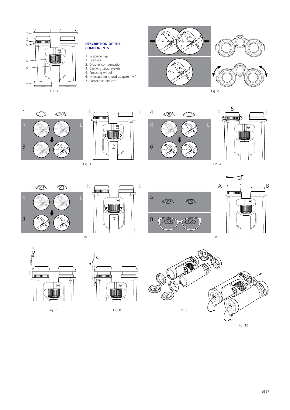 Carl Zeiss 10x40 SFL Binoculars User Manual | Page 6 / 57