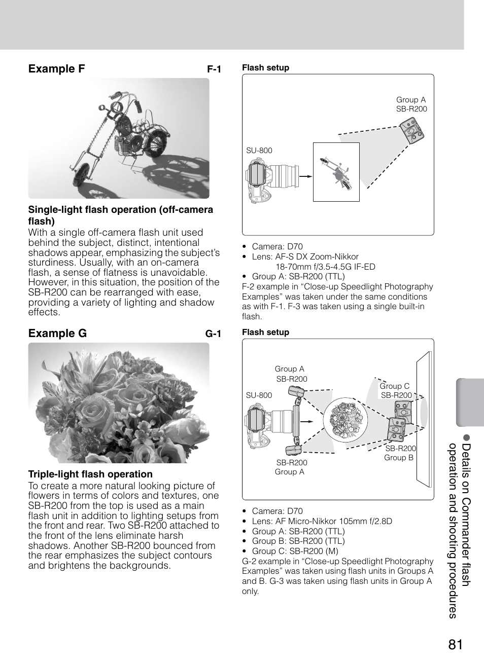 Example g | Nikon 4804 R1 Wireless Close-Up Speedlight System User Manual | Page 81 / 134